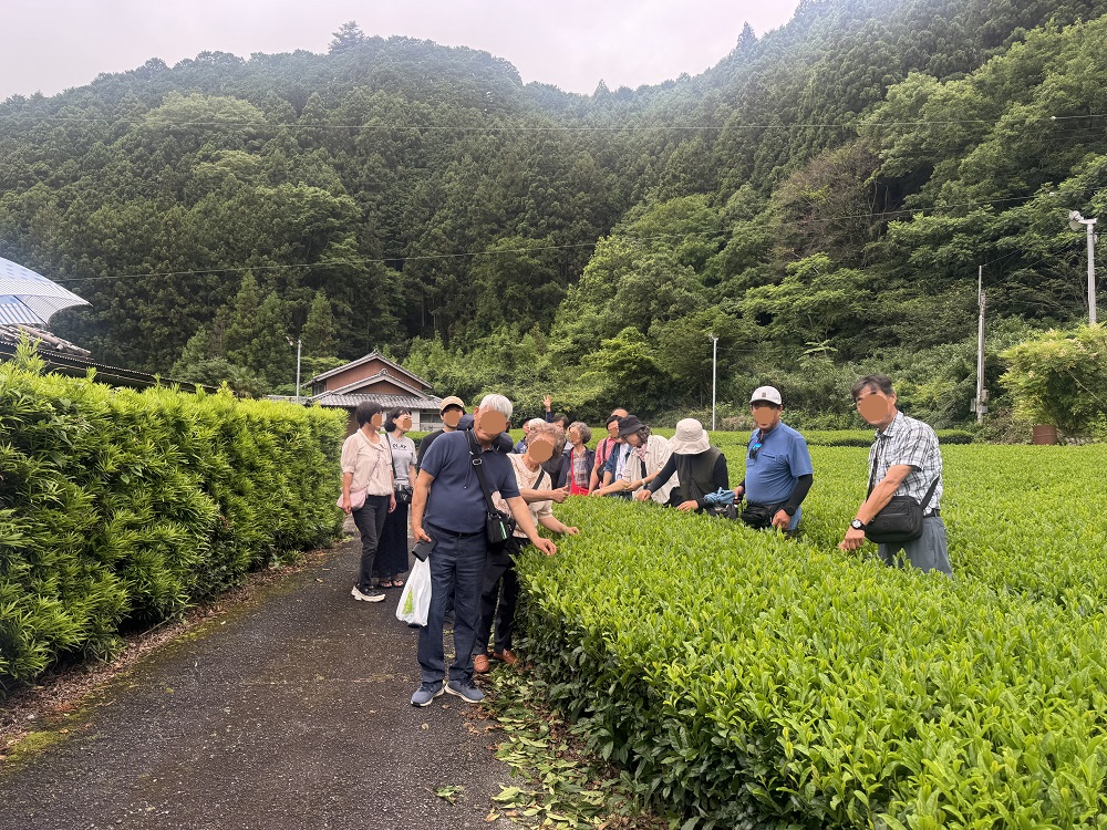 /upload/ntour/file/bd1100/202607/ntour_cm9910_30000828.jpg