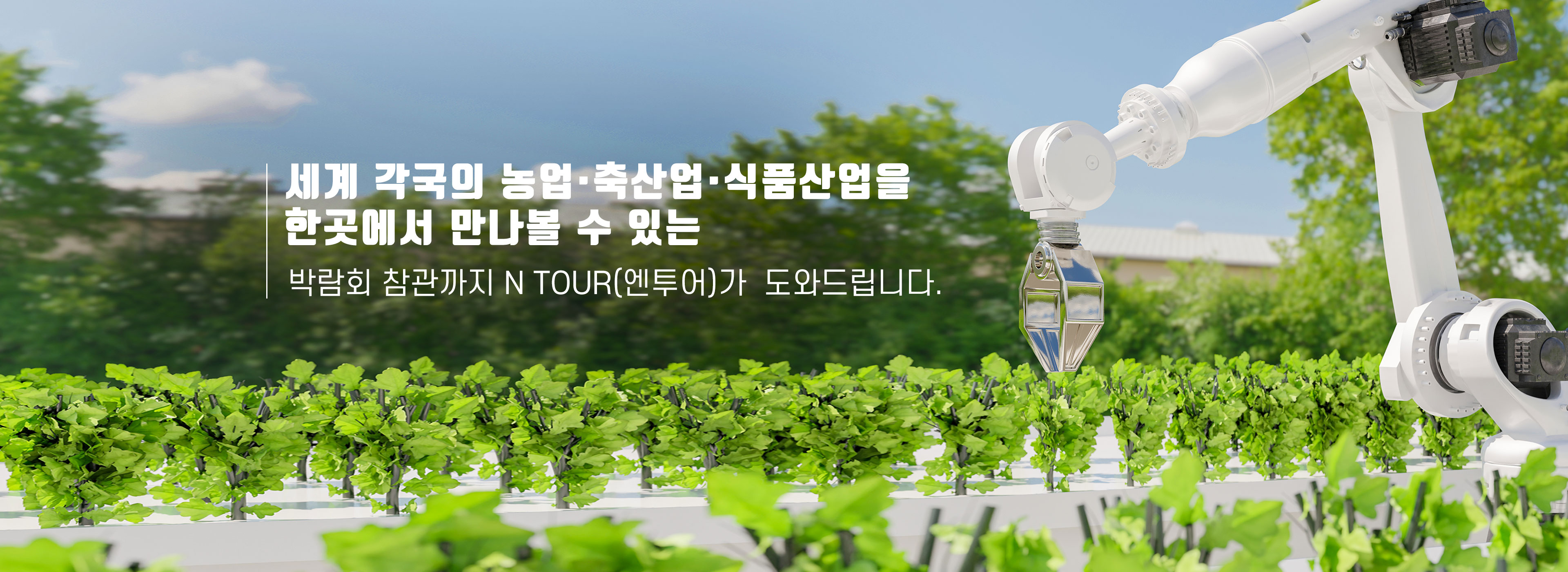 /upload/ntour/file/we1100/202506/ntour_cm9910_30000281.jpg