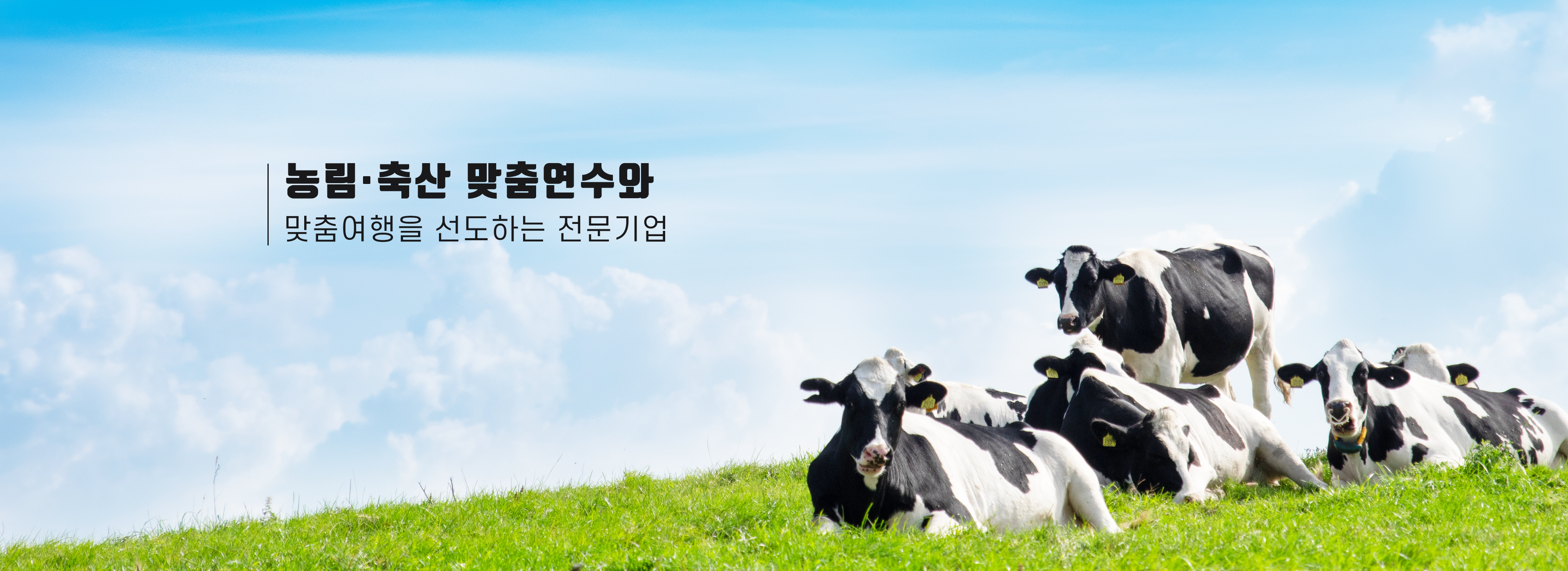 /upload/ntour/file/we1100/202507/ntour_cm9910_30000302.png