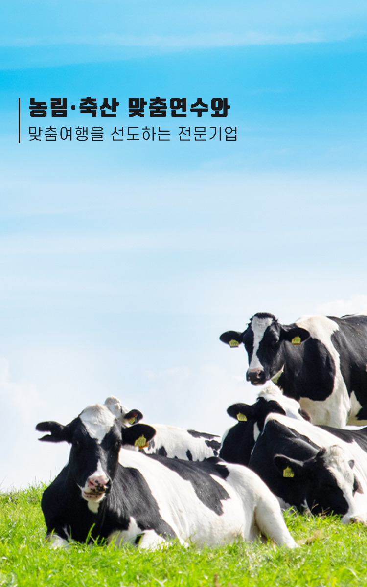 /upload/ntour/file/we1100/202507/ntour_cm9910_30000303.png